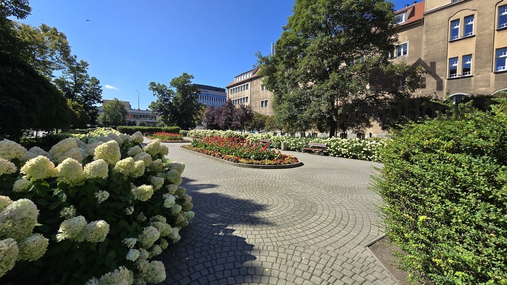 M2 centrum Poznania ul. Karmelicka przy AWF